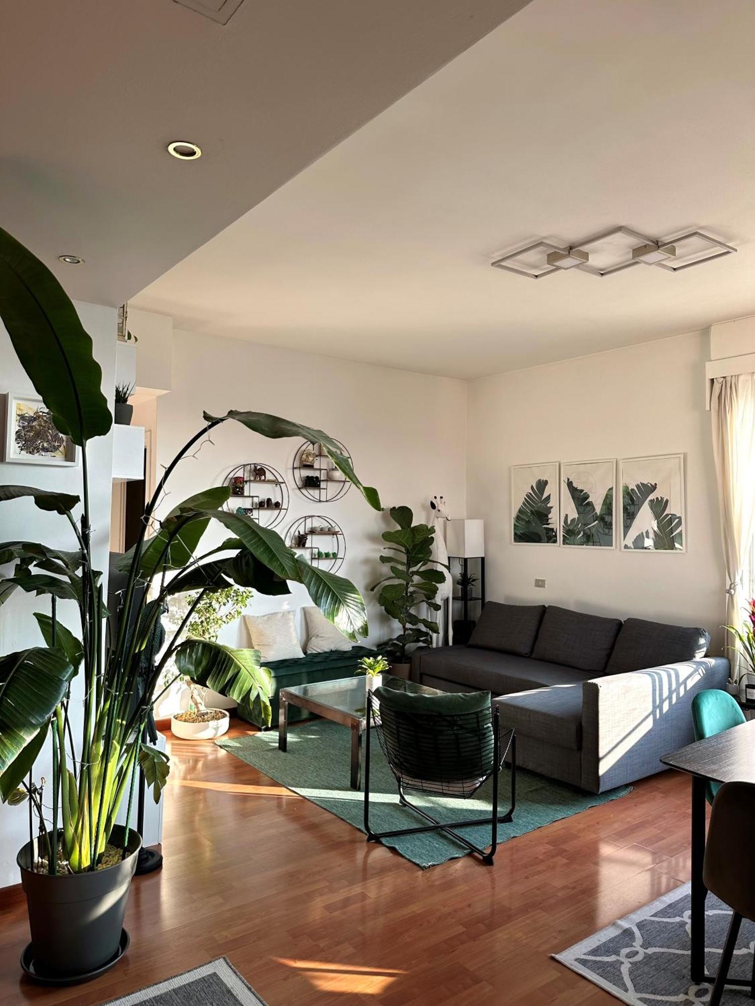 Urban Jungle - Attico Vista Duomo Apartment มิลาน ภายนอก รูปภาพ
